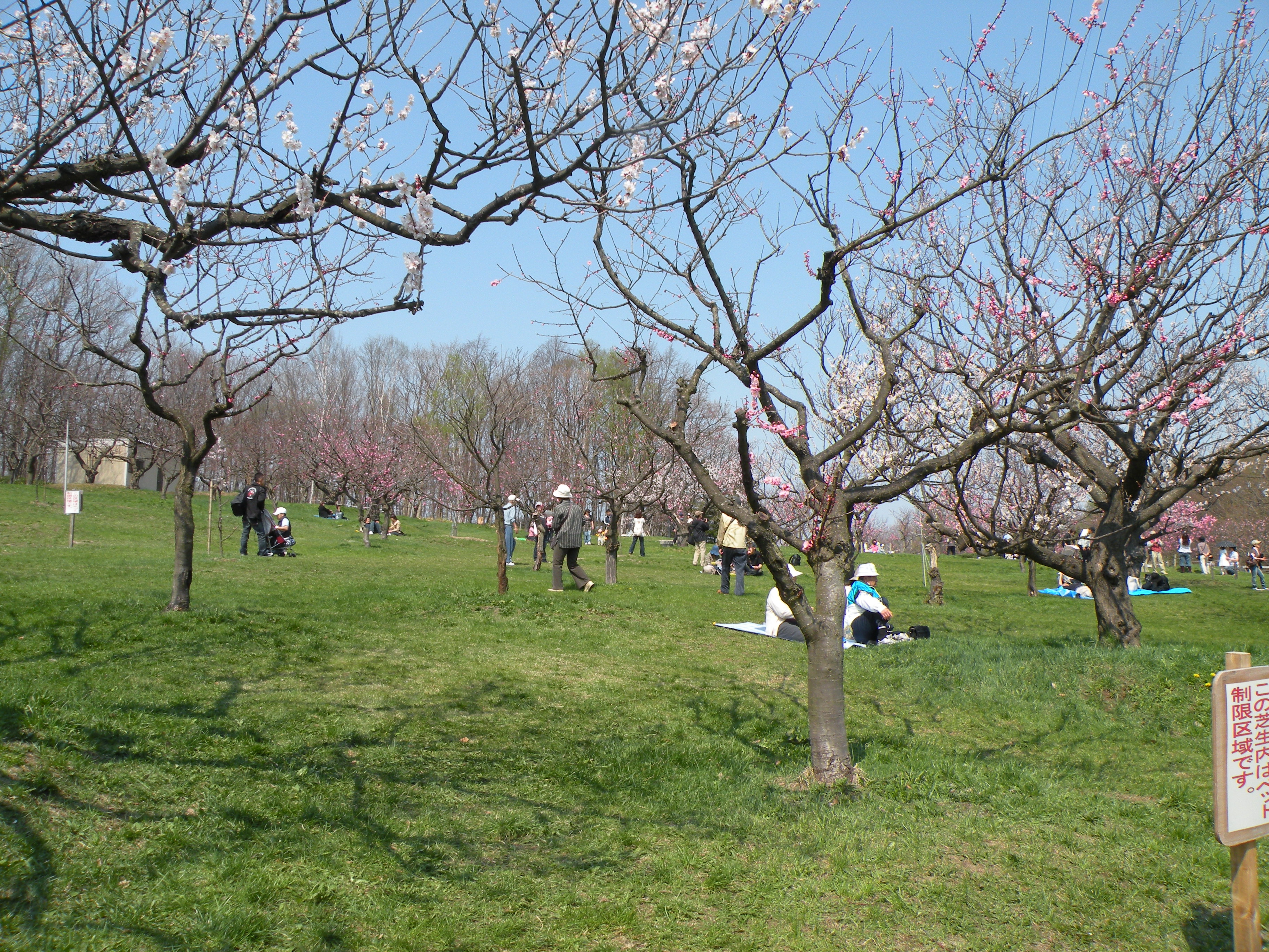 平岡梅林公園